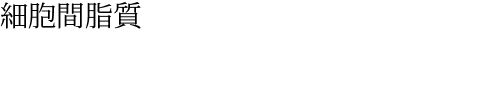 細胞間脂質